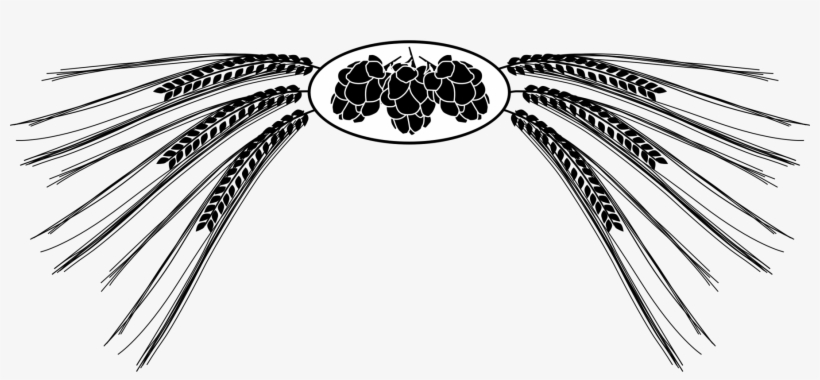 Freeuse Download Beer Brewing Grains Malts - Hops Clip Art, transparent png #48652