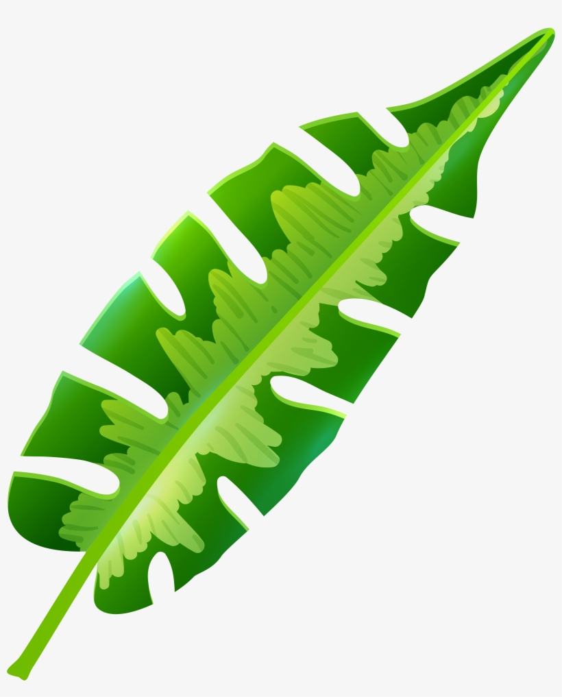 Tropical Leaf Png Clip Art, transparent png #48946