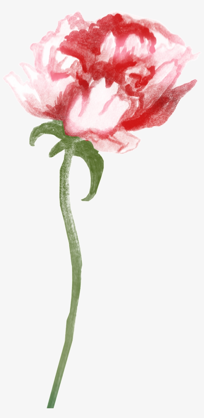 47z58picgyb 1024 X Oss Process=image/quality,q 70/watermark - Clip Art, transparent png #49788