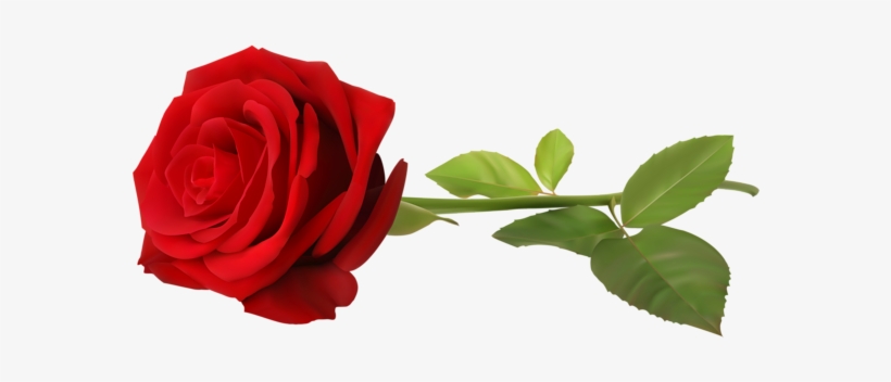Love Red Rose Single Png Clip Art - Rose Png, transparent png #49826