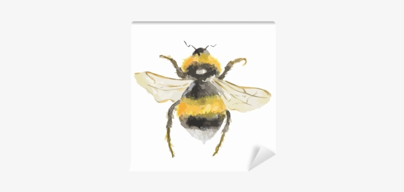 Isolated Watercolor Bee On White Background - Watercolor Painting, transparent png #49875