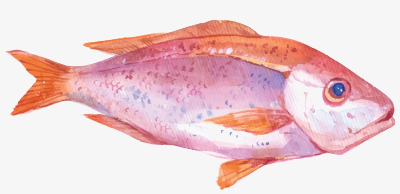 Oyster Watercolor Painting Seafood Illustration - Sea Food Illustration, transparent png #400148