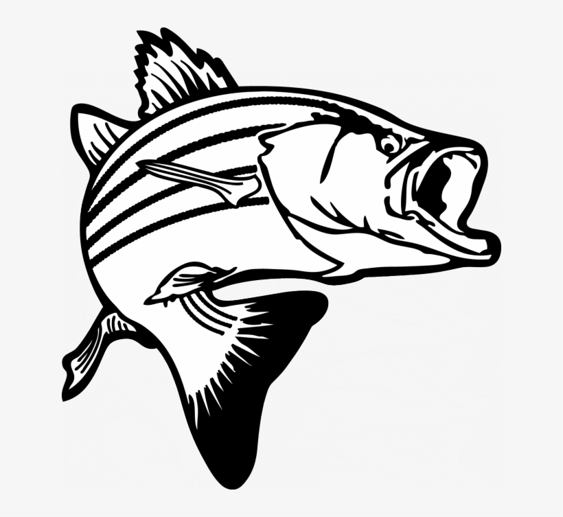 Salmon Fish Clip Art Bass Fish Pictures Clip - Bass Clipart Black And White, transparent png #400174