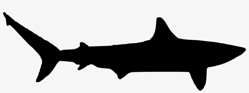 Free Download - Mako Shark Shark Silhouette, transparent png #400227