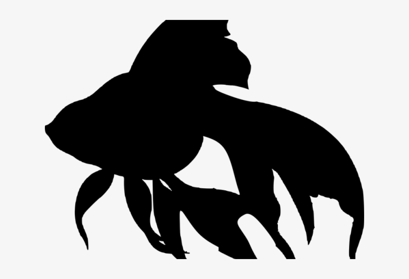 Fish Silhouette - Sea Creature Silhouettes, transparent png #400438