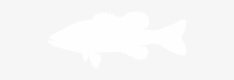 Fish 1 Icon - Marine Mammal, transparent png #400558