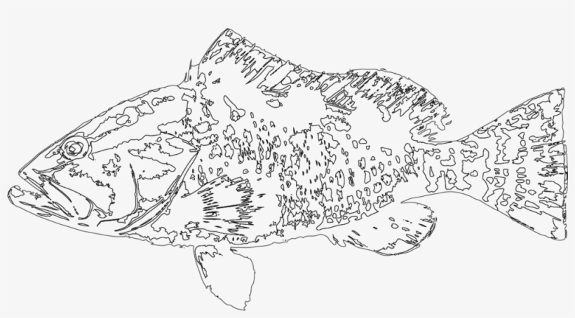 Fish Out - Ecology, transparent png #400606