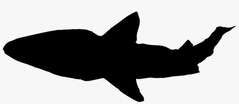Free Download - Shark Silhouette Jpg, transparent png #400676