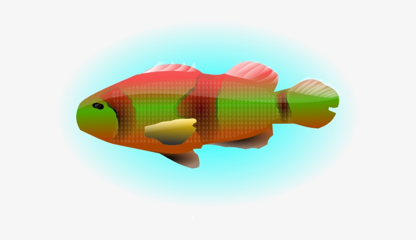 Fish In - Clip Art, transparent png #400767