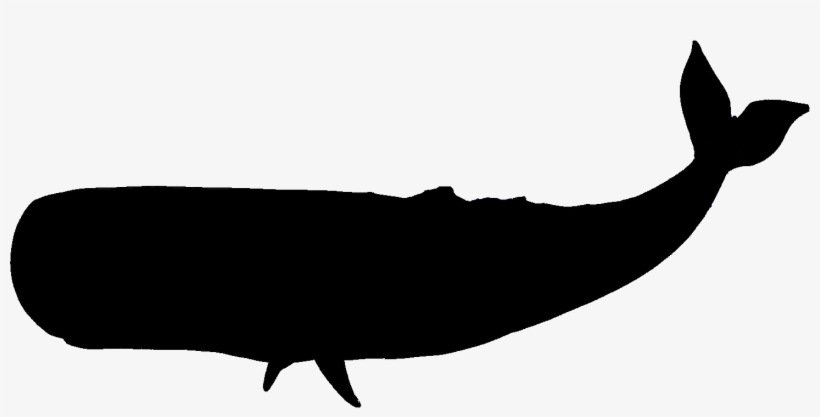 Squ#silhouette-08dcn17 - Whale Vector Silhouette, transparent png #400905