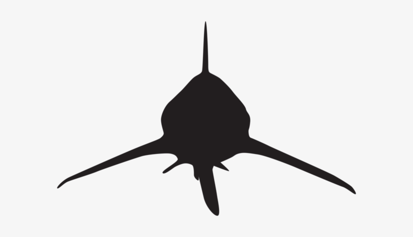 0, - Shark Attack Silhouette, transparent png #400997