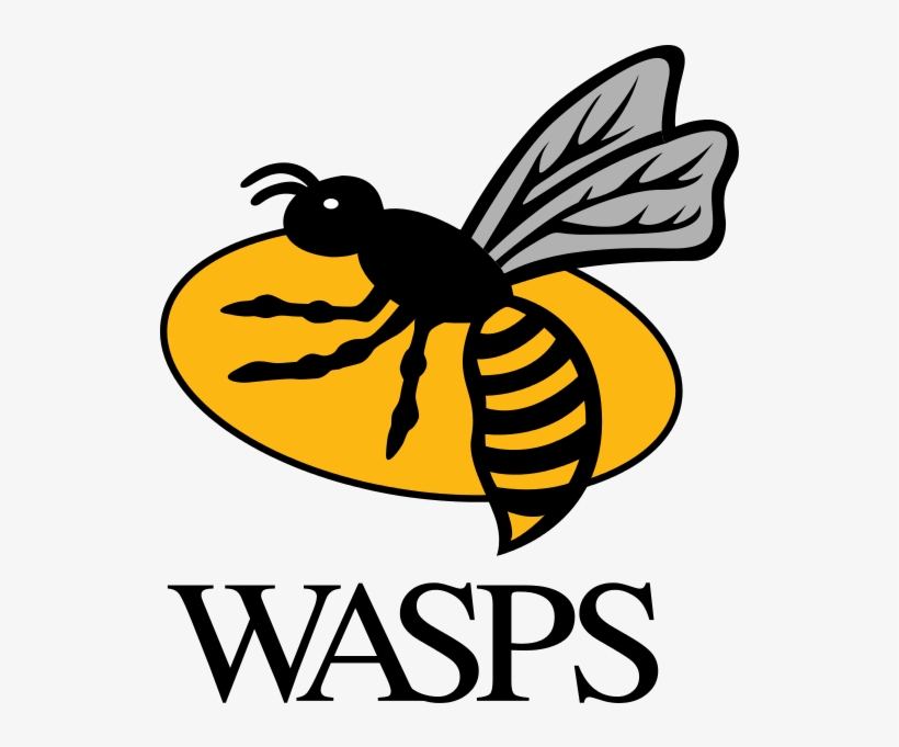 I'm Delighted And Very Grateful To Be Able To Share - Wasps Rugby Png, transparent png #402556