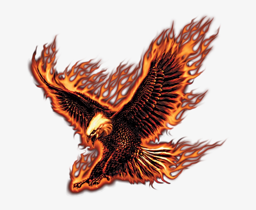 Jpg Black And White Library Flying Fire Eagle - Transparent Fire Eagle Png, transparent png #403194