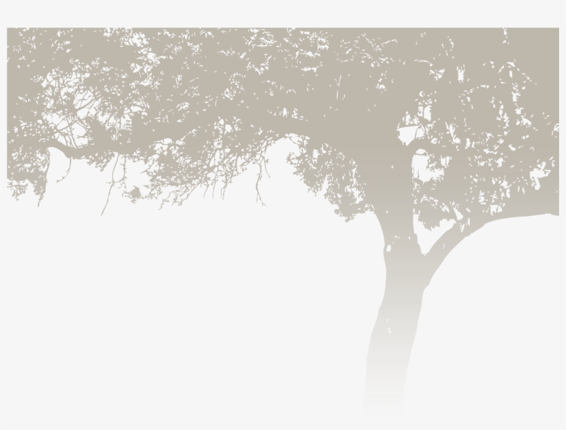 Lacey And Matt, transparent png #404009