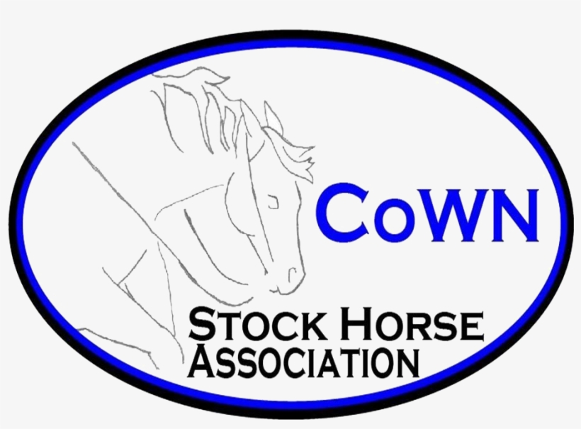 Building Stronger Relationships Between Horse And Rider - Hopital Sourire, transparent png #404512