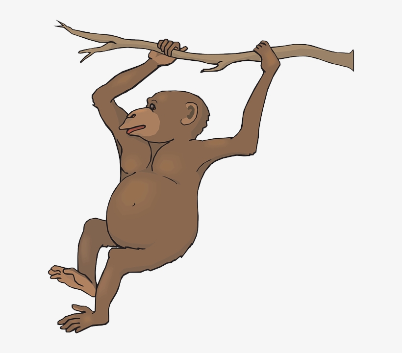 Free To Use Public Domain Monkey Clip Art - Female Chimpanzee Clipart, transparent png #405531