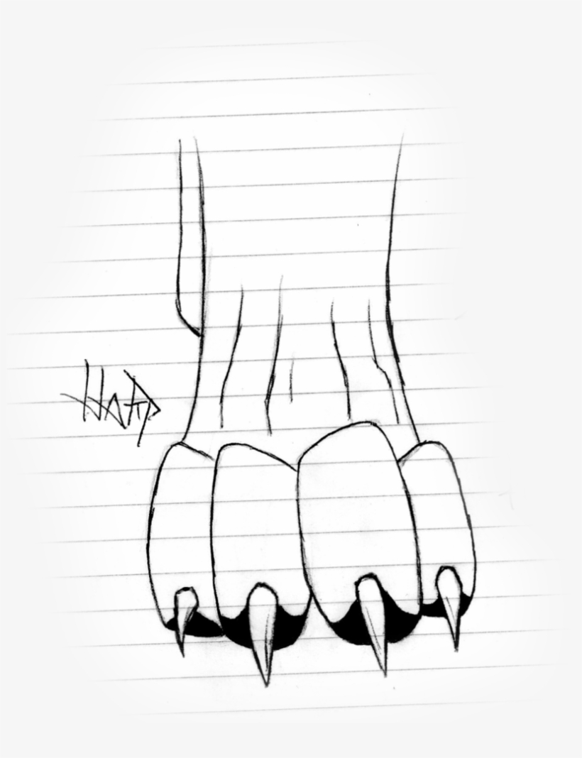 Wolf Paws Photo Drawing - Drawings Of Wolf Paws, transparent png #406204