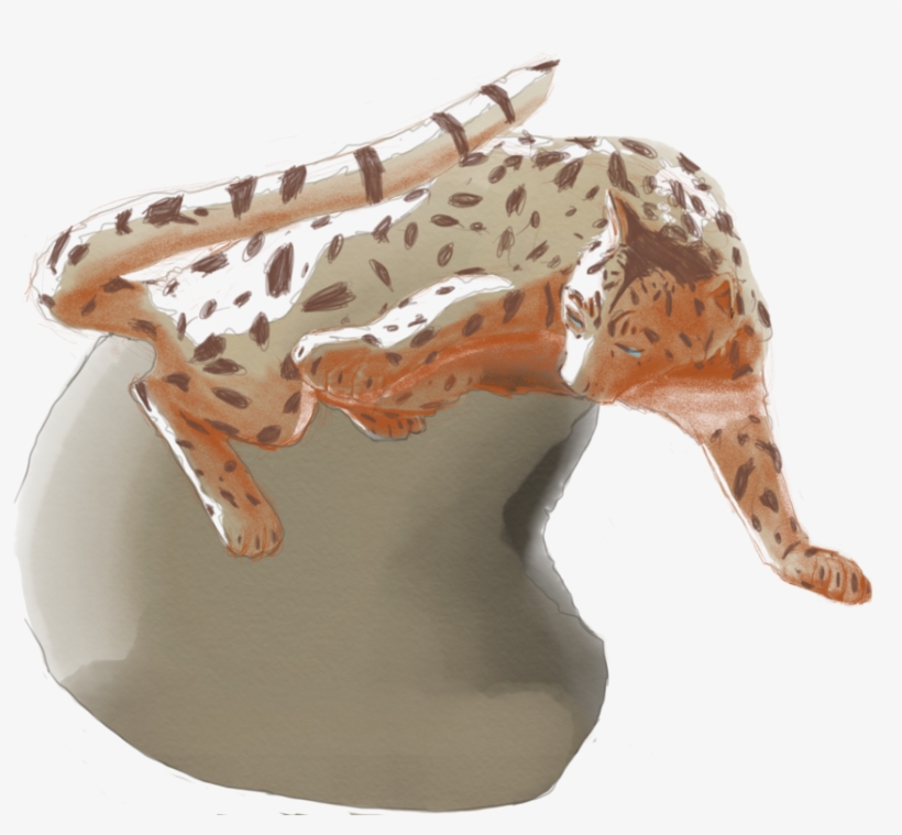 Marcat - Basic Pump, transparent png #406380