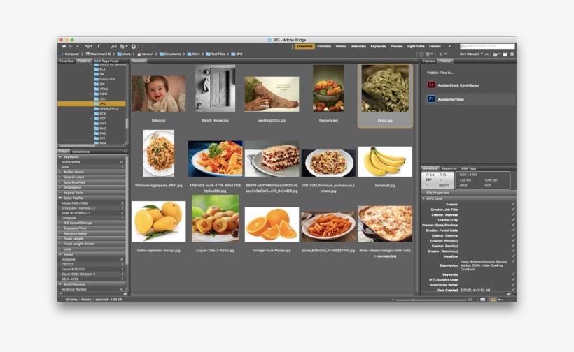 Digital Asset Management Software Download Free Bridge - Adobe Bridge, transparent png #406515