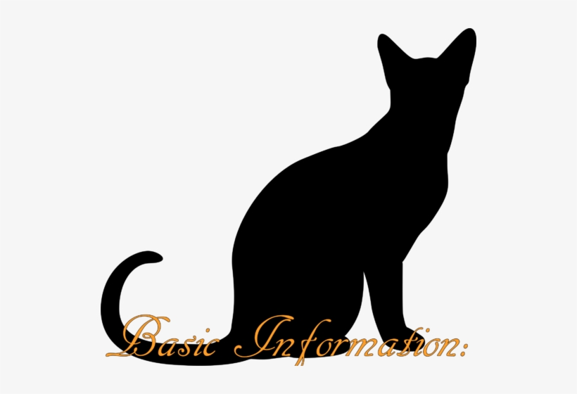 Sitting Cat Silhouette Q892qr Clipart - Love Cat Poster Print (landscape) - A4, 8.3 X 11.7, transparent png #407017