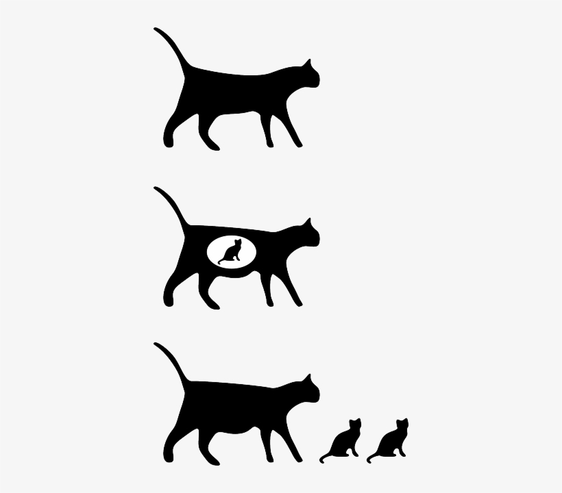 Cat, Sitting, Pet, Walking, Animal, Silhouettes, Icon - Pregnant Cat Icon, transparent png #408006