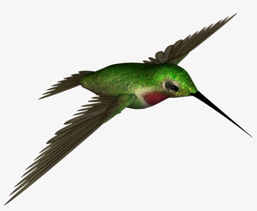 Hummingbird Clipart Colored Bird - Hummingbird .png, transparent png #408808