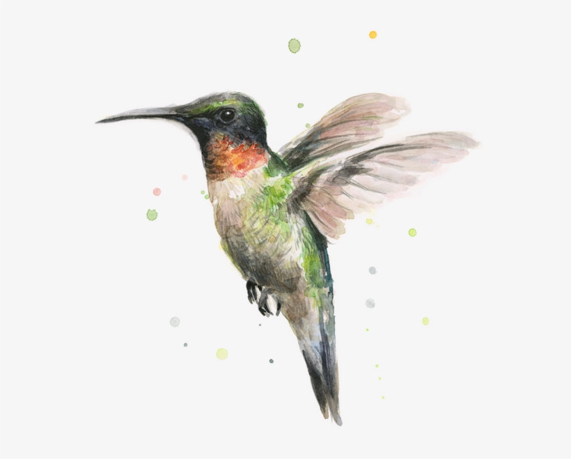 Bleed Area May Not Be Visible - Hummingbird T Shirt For Men, transparent png #408986