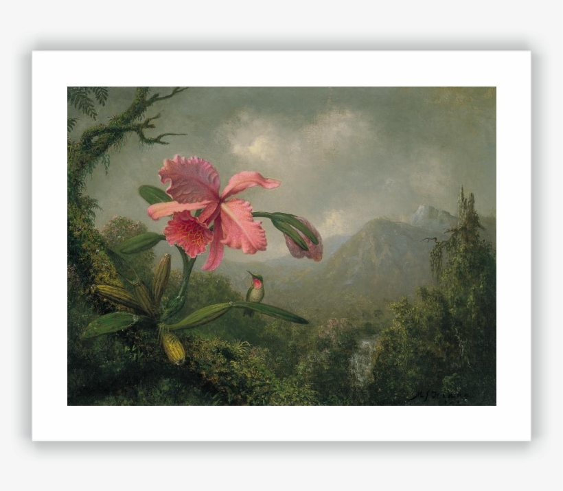 Orchid And Hummingbird Near A Mountain Waterfall - Martin Johnson Heade Paintings, transparent png #409015