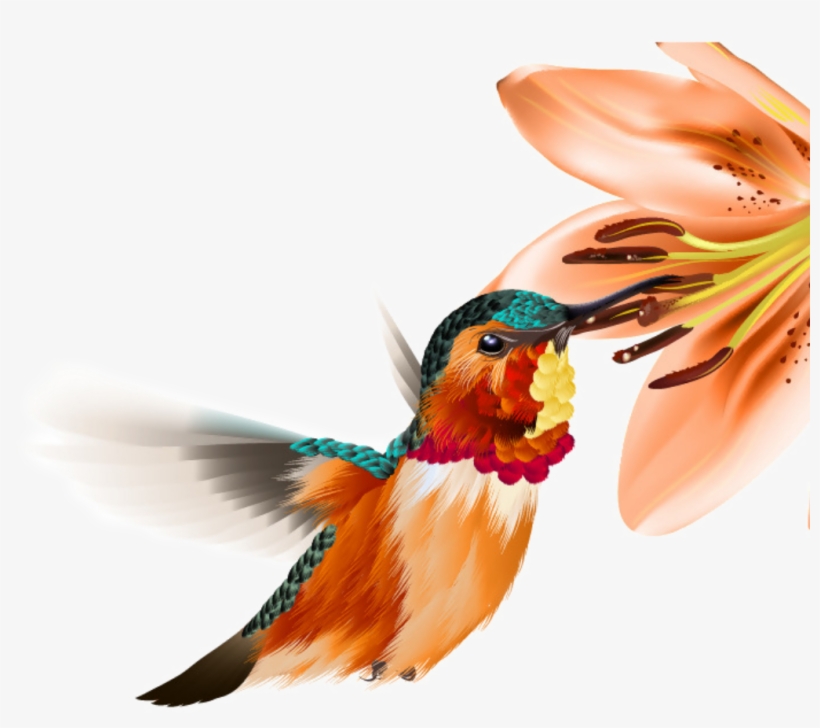 Ftestickers Watercolor Flower Hummingbird - Tqc+ 影像處理認證指南 Photoshop Cc, transparent png #409076