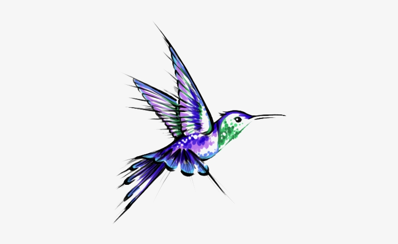 Jpg Download Free Tattoos Png Transparent Images Download - Desenho Do Beija Flor, transparent png #409121