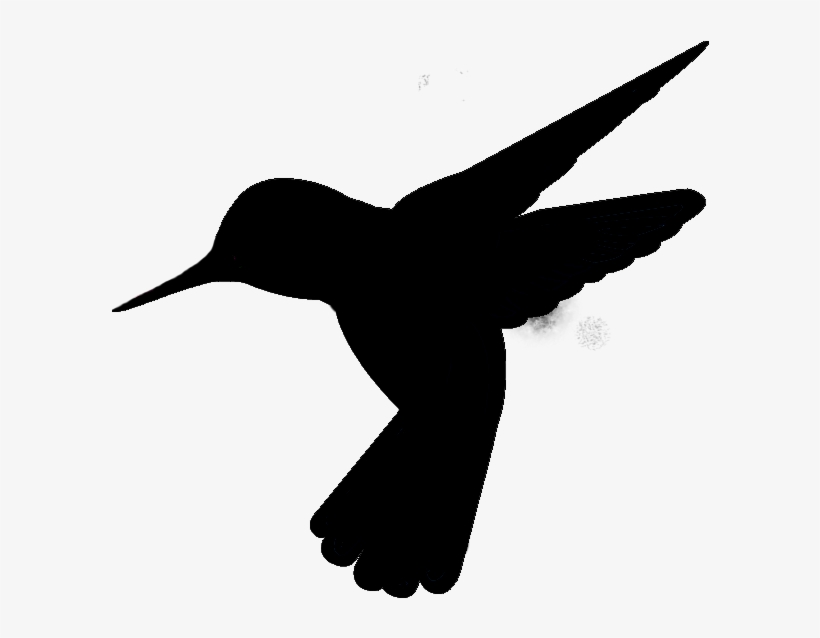 Hummingbirdlogo2 - Coraciiformes, transparent png #409180