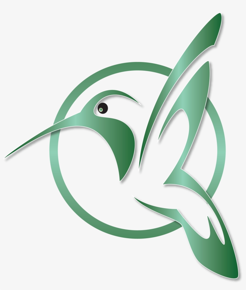 Texas, transparent png #409183