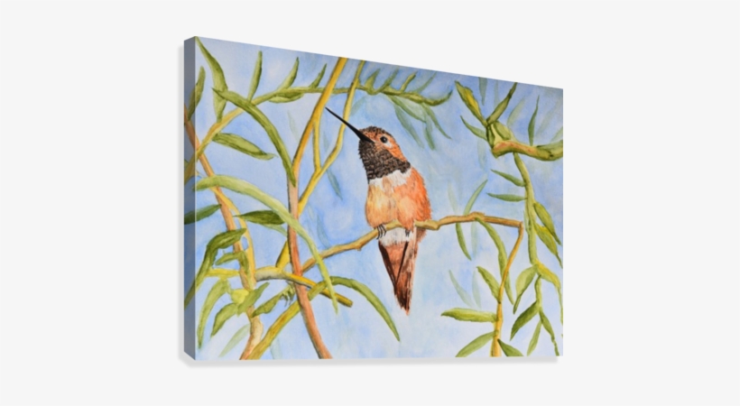 Sweet Hummingbird Canvas Print - Ruby-throated Hummingbird, transparent png #409217