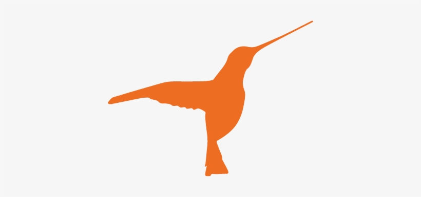 Orange Hummingbird - Hummingbird Symbol, transparent png #409265