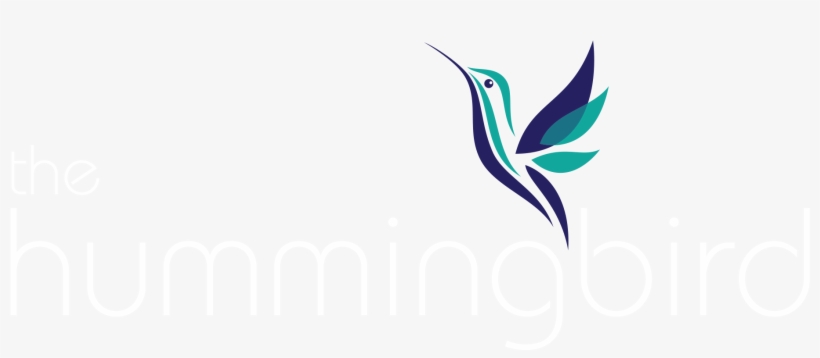 Directions & Contact, The Hummingbird, Beachfront B&b - Hummingbird Png Logo, transparent png #409722