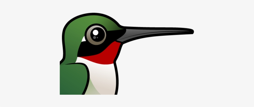 About The Ruby-throated Hummingbird - Cartoon Hummingbird, transparent png #409742