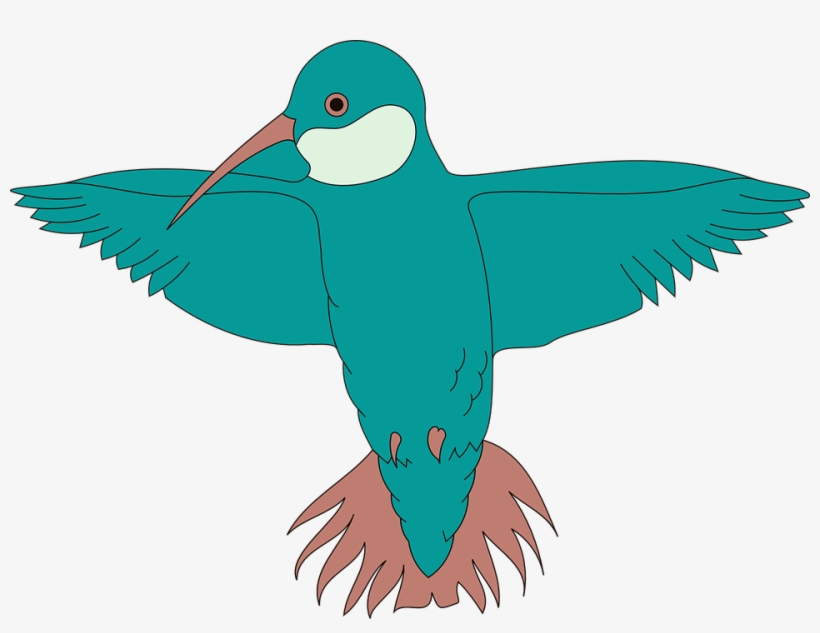 Free Free 303 Hummingbird Svg Free Download SVG PNG EPS DXF File