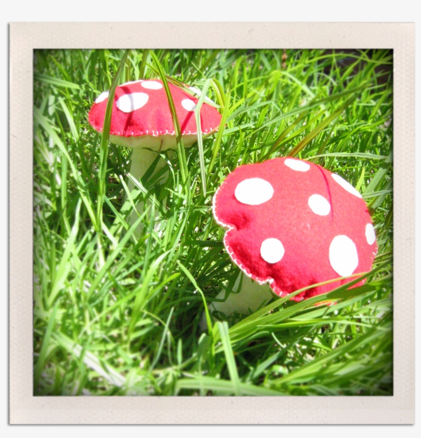 I'm So Into Toadstools Right Now & Loving My New Creation - Edible Mushroom, transparent png #4000087