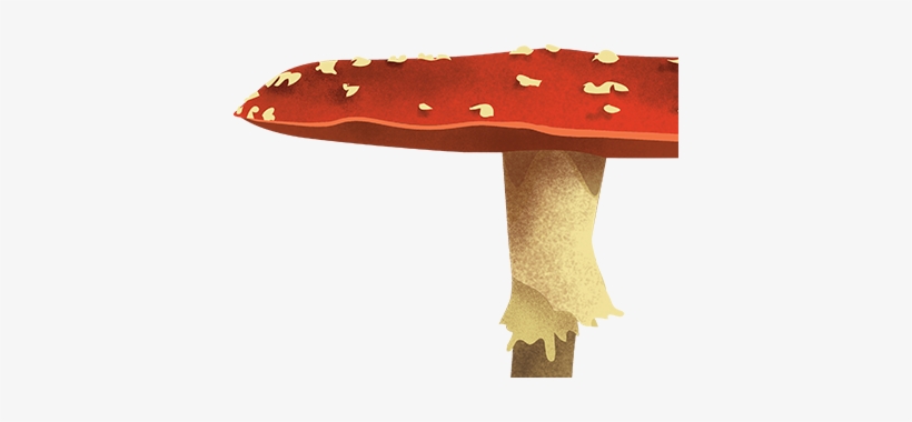 3mushroom - Agaric, transparent png #4000195