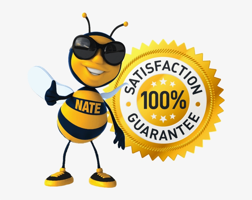 Satisfaction Guarantee No Stinger Promise - Cable Tie Supply Cts Brand - 11 Inch, 40 Lb Tensile, transparent png #4000478