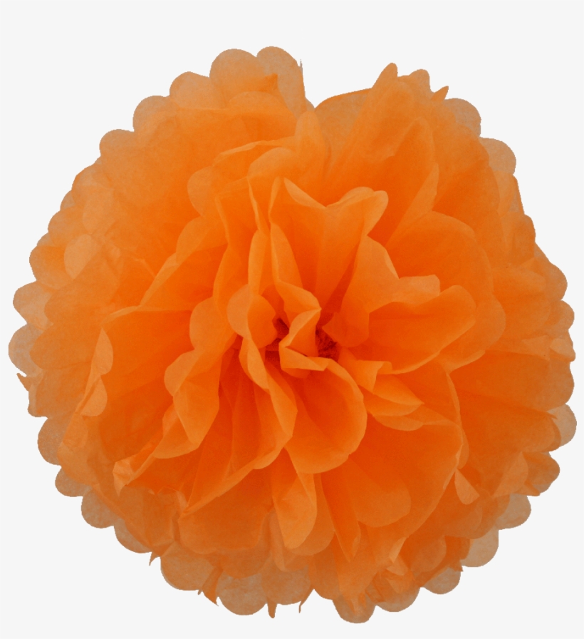 Nadie Te Robe Tu Energía, transparent png #4000510