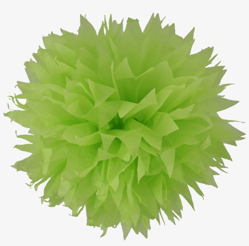 Pompon Papier De Soie Fleur Vert Anis, transparent png #4000736