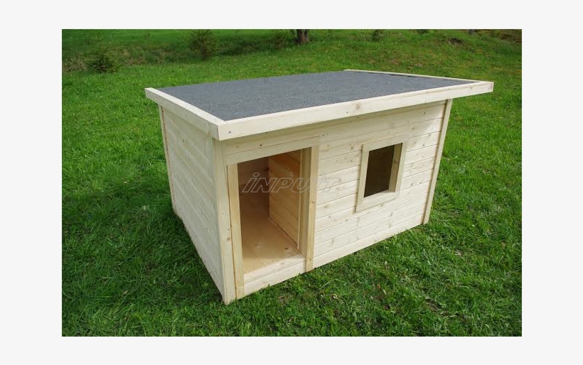 Soojusatud Donna 2 - Dog, transparent png #4000928