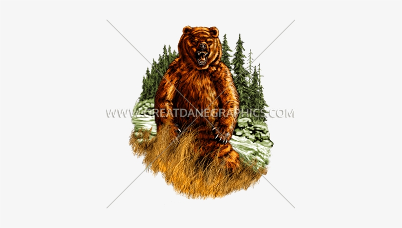 Wildlife Bear - Wildlife - Wild Bear Portrait T-shirt, transparent png #4000981