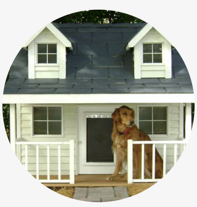 Png, transparent png #4001147