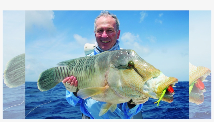 Perch Clipart Great Barrier Reef Sport Fishing Magazine - Pull Fish Out Of Water, transparent png #4001868
