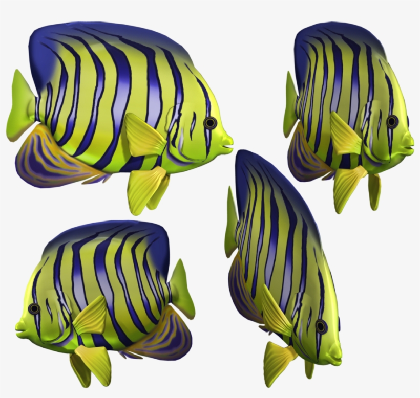 Angelfish Clipart Green Fish - Fish In The Sea Png, transparent png #4002274