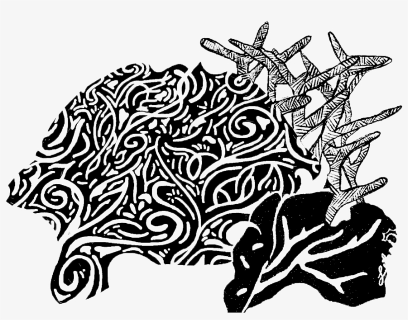 Coral Complete Trns - Portable Network Graphics, transparent png #4002348