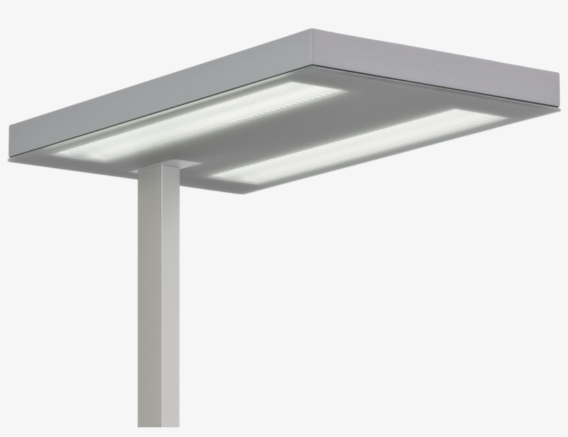 Free T Grey Head - Luxo, transparent png #4002559