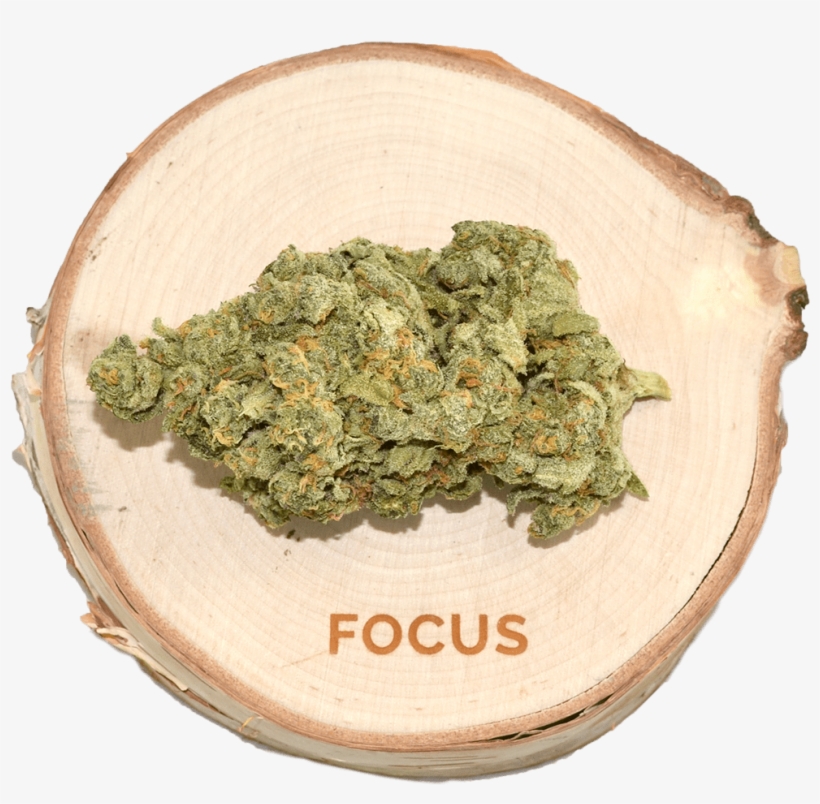 B F Black Label - Coin, transparent png #4002825